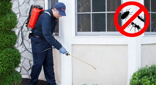 Reyhanlı Kemirgen İlaçlama böcek ilaçlama ve haşere kontrolü — ilaclama-tr.com